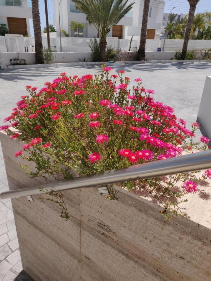 Captain Pier Hotel Protaras